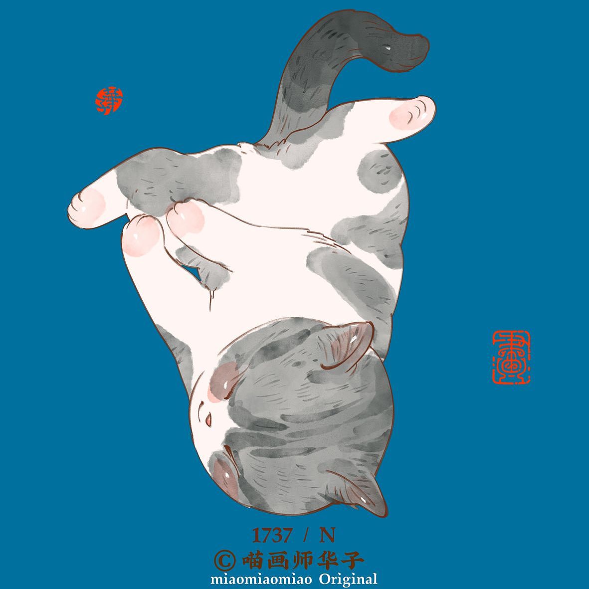 画猫的1701~1750天,带着猫猫闯天涯!我有路过大连