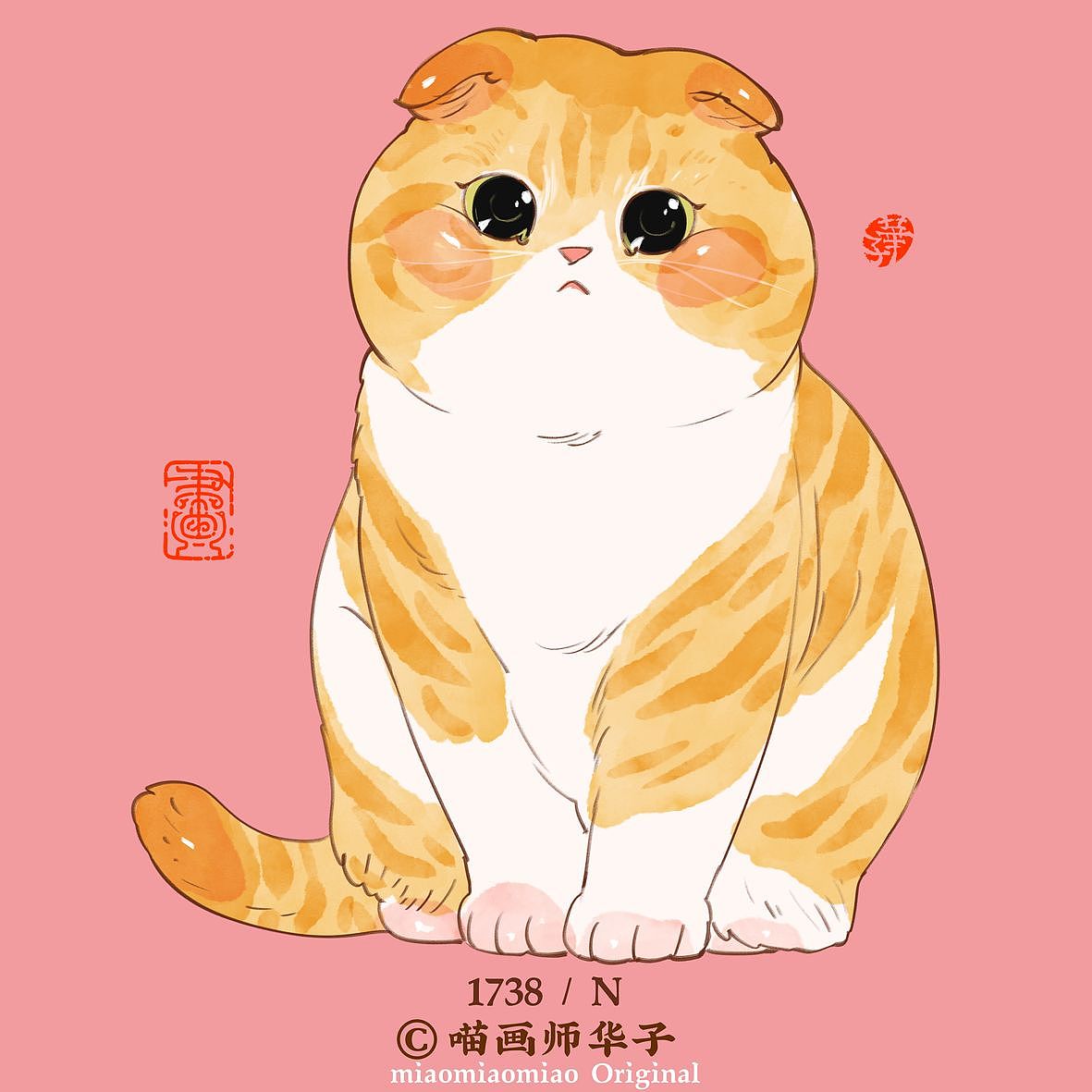 画猫的1701~1750天,带着猫猫闯天涯!我有路过大连