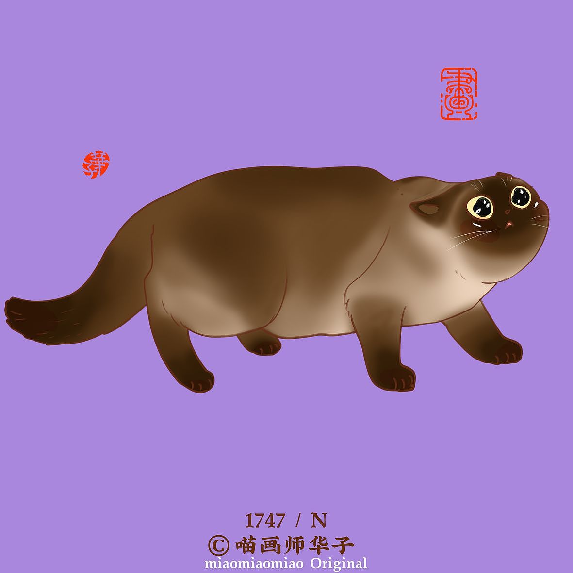 画猫的1701~1750天,带着猫猫闯天涯!我有路过大连