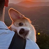 AWAVV的头像