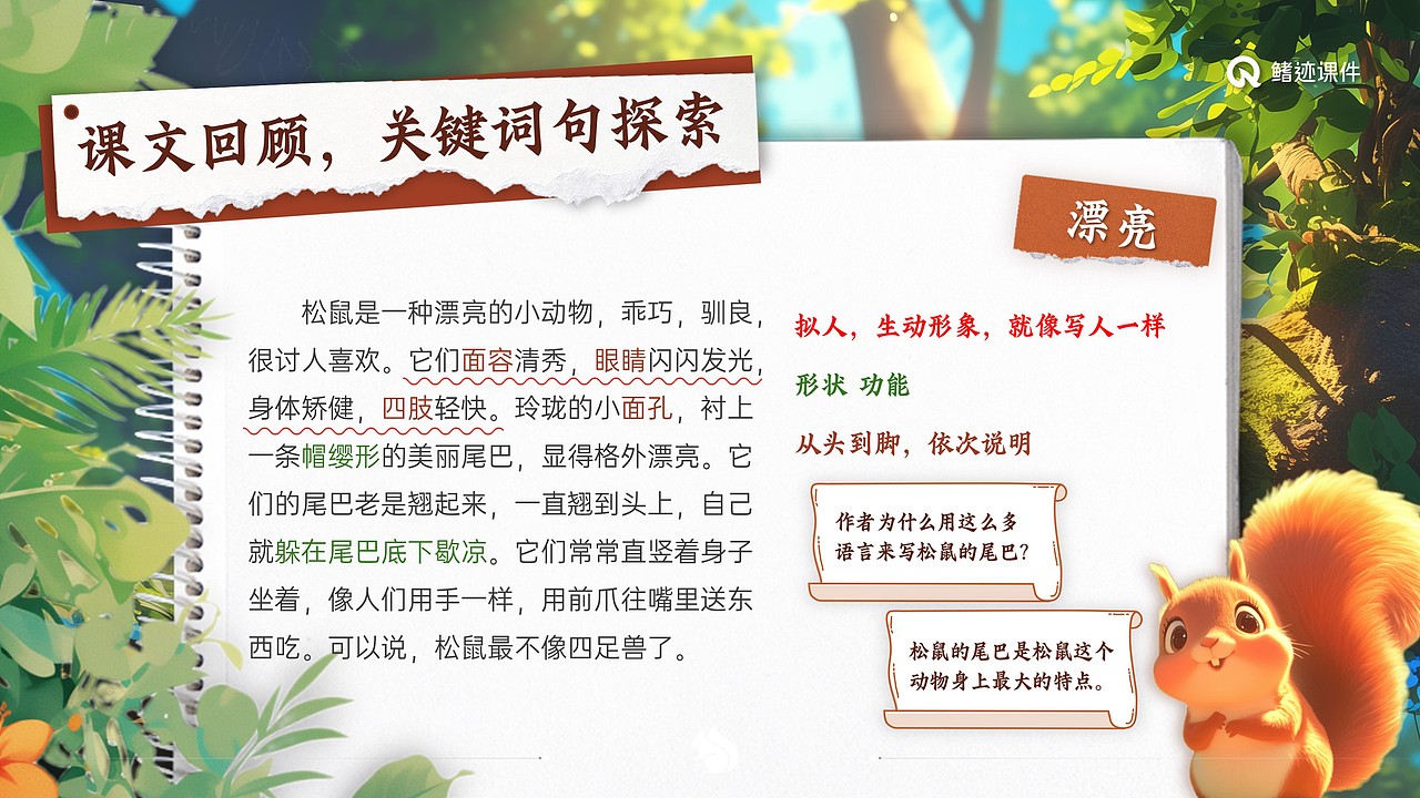 小学语文公开课课件《松鼠》