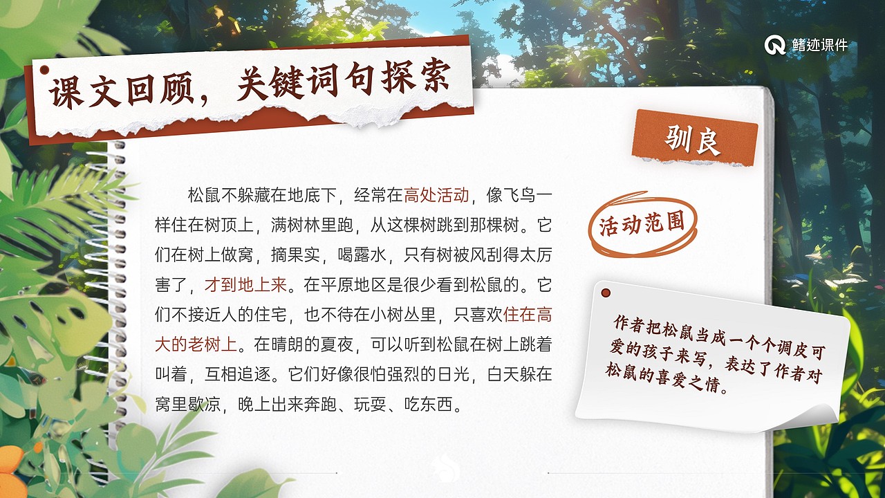 小学语文公开课课件《松鼠》