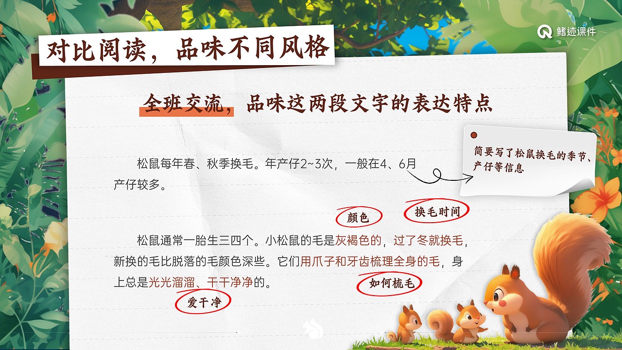 小学语文公开课课件《松鼠》