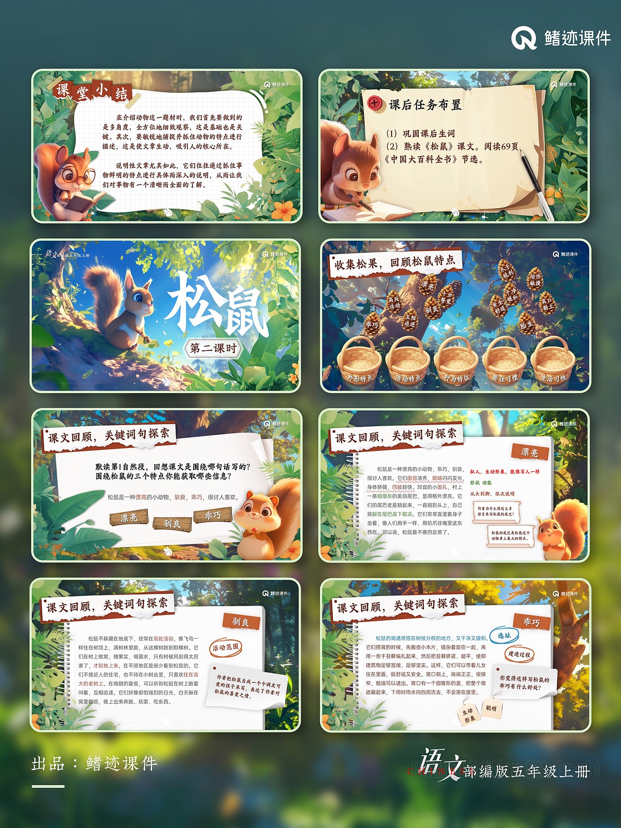 小学语文公开课课件《松鼠》