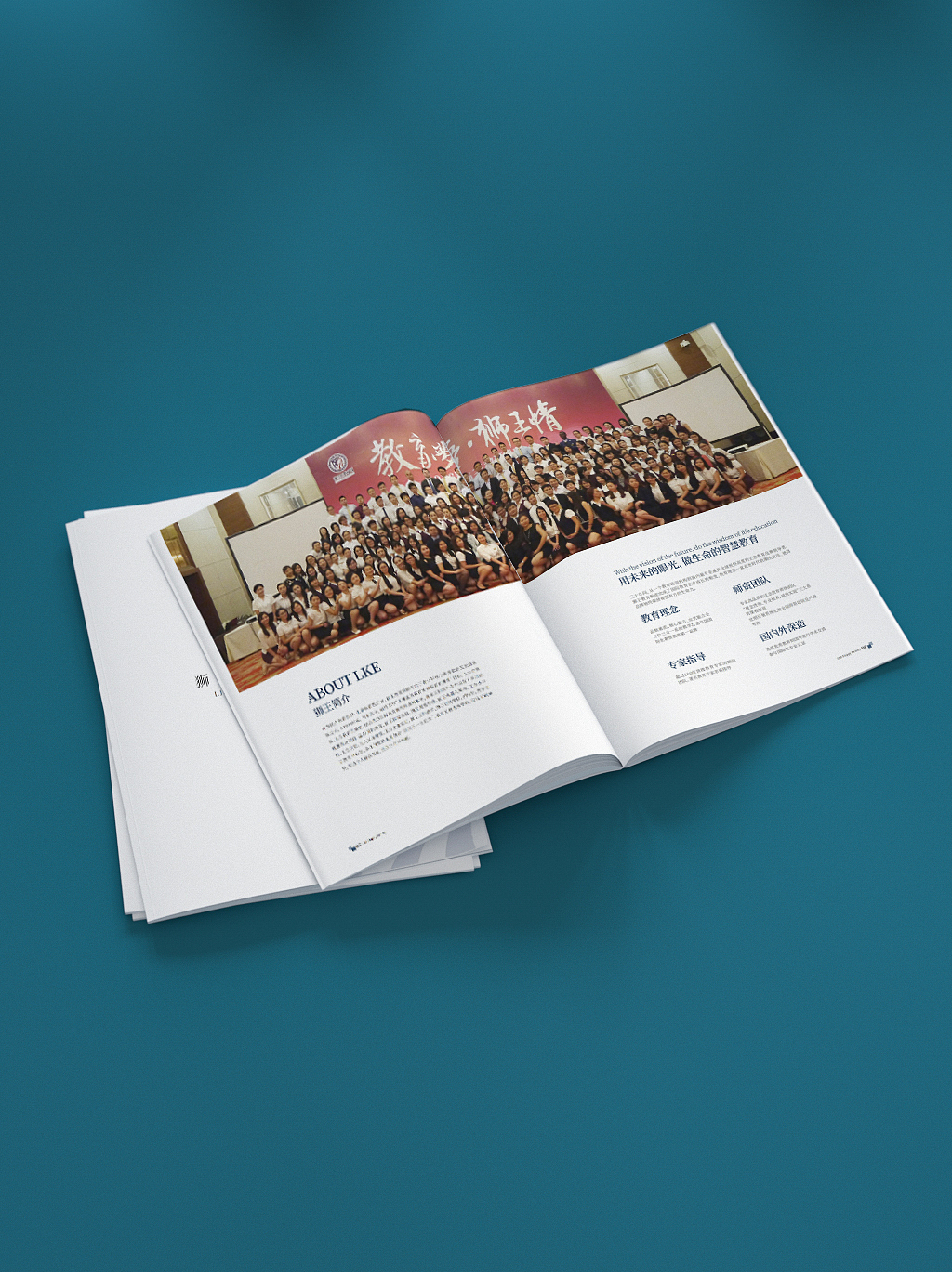 教育集团画册设计