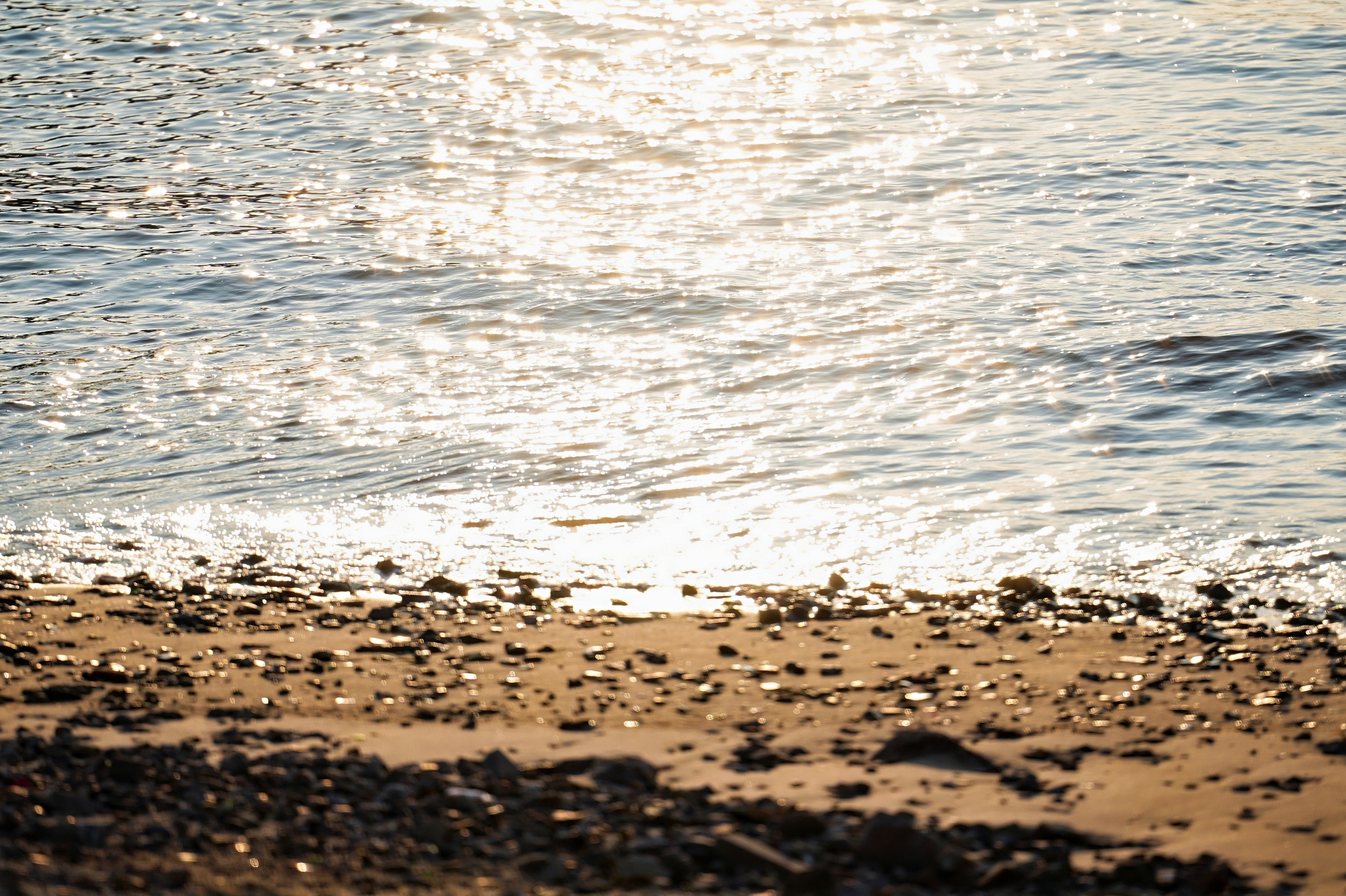 2024白沙岛浪漫艺术创意设计大赛——赛道一：浪漫之约