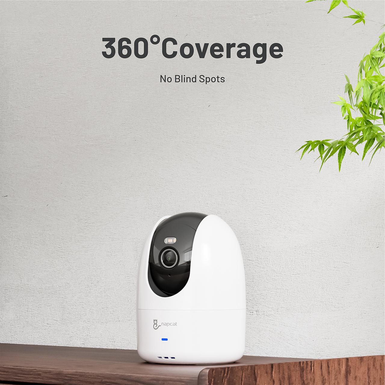 安联的亚马逊店铺装修图片