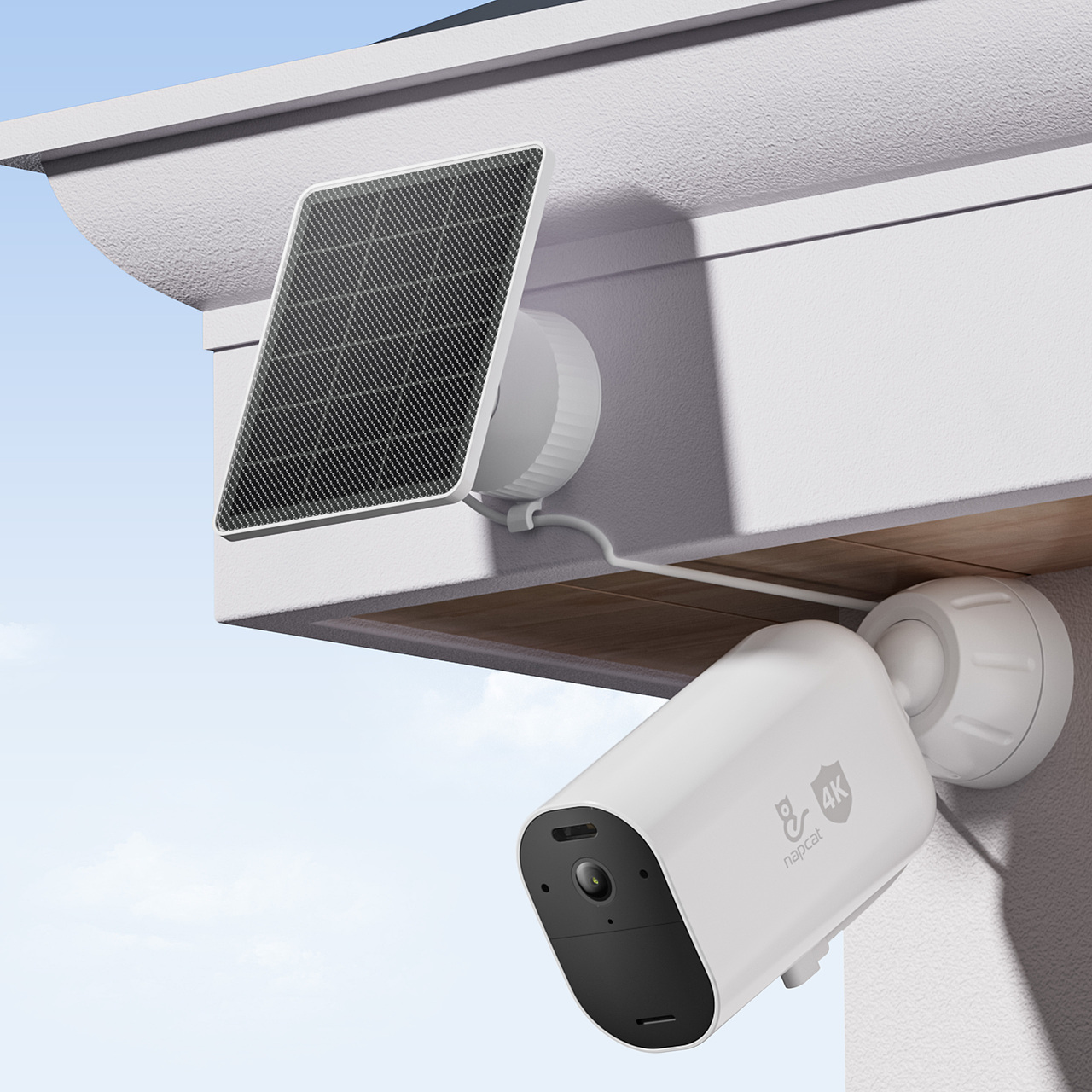 安联的亚马逊店铺装修图片