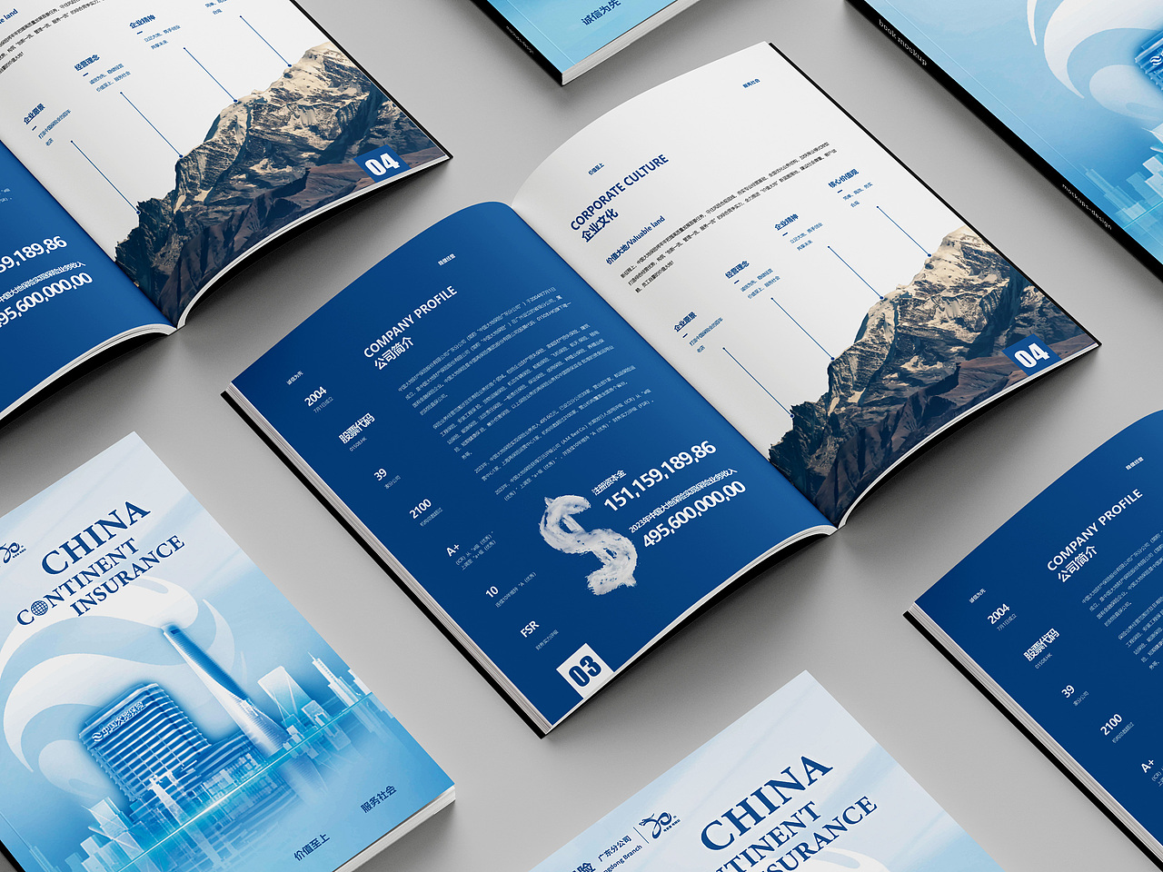 中国大地财产保险 I 企业手册 I 保险画册