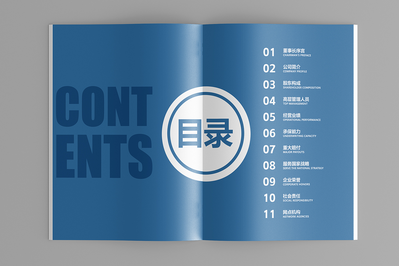 中国大地财产保险 I 企业手册 I 保险画册