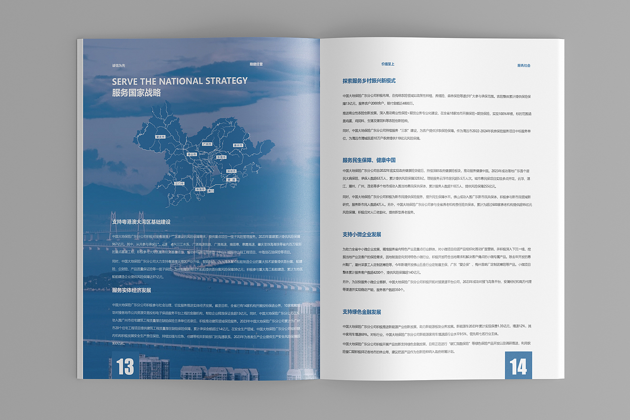 中国大地财产保险 I 企业手册 I 保险画册