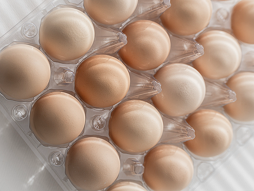 鸡蛋（个人主页-ZNzA3MzQ1NDg=） - 产品摄影 - 站酷设计师展昭弟弟原创素材 - 站酷ZCOOL