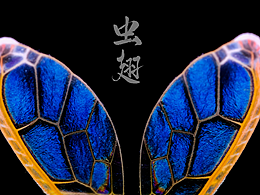 摄影
