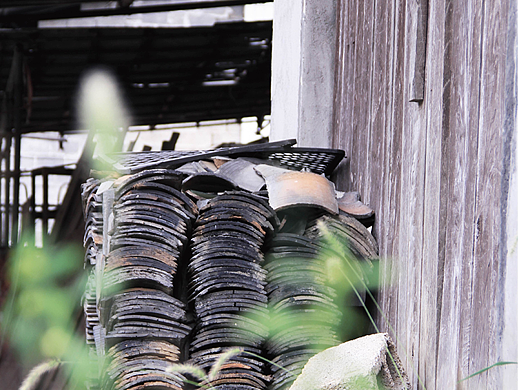 老家记 x 莫莫摄影