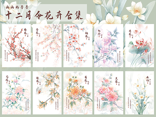 十二月令花卉合集丨花开有时