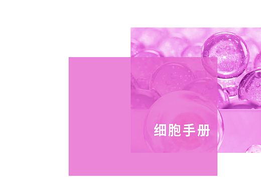 细胞手册