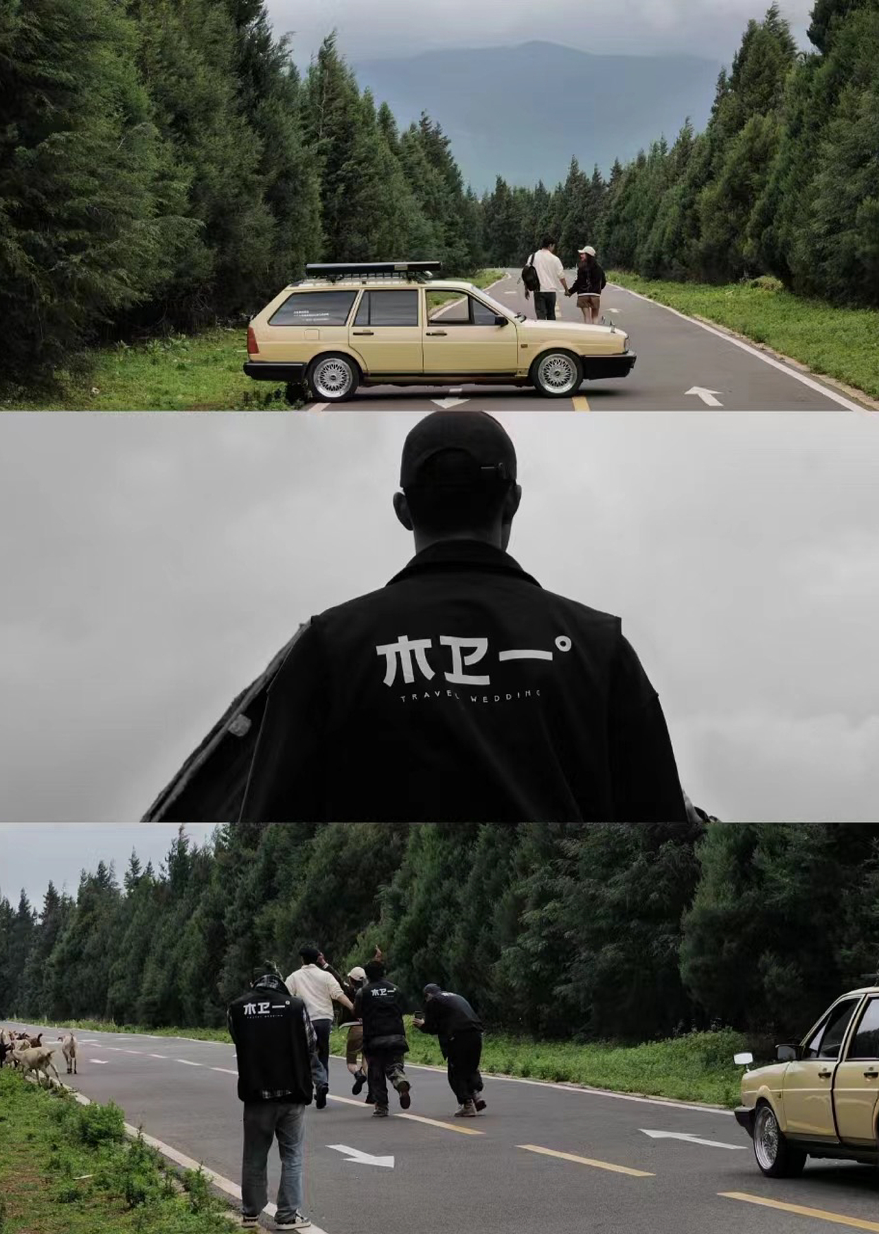 木卫一 I 旅行婚礼 目的地婚礼品牌LOGO设计