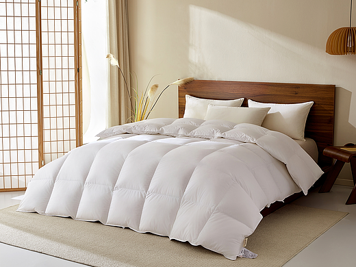 冬被拍摄x留象视觉