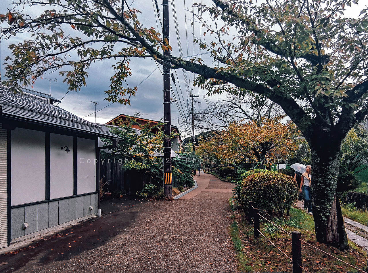 哲学之道-南禅寺-蹴上 , 闲静侘寂之美(图ZMzgwMzIzOTky) - 风光摄影 - 站酷设计师金钻子原创素材 - 站酷ZCOOL