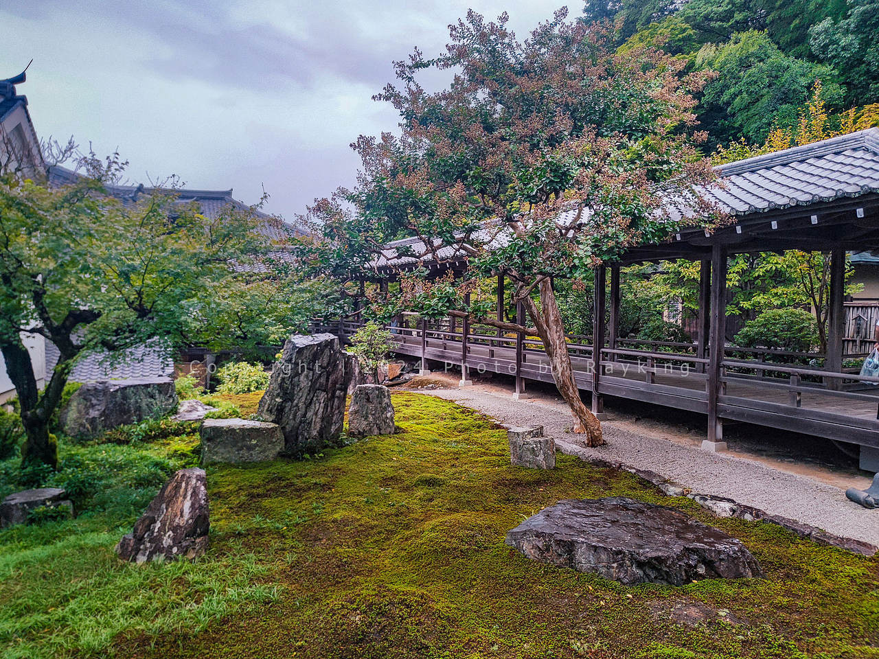 哲学之道-南禅寺-蹴上 , 闲静侘寂之美(图ZMzgwMzI0MDI0) - 风光摄影 - 站酷设计师金钻子原创素材 - 站酷ZCOOL