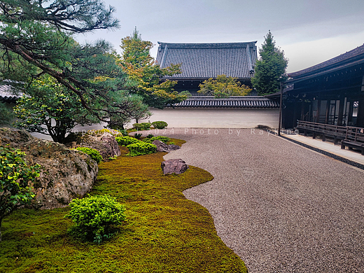 哲学之道-南禅寺-蹴上 , 闲静侘寂之美