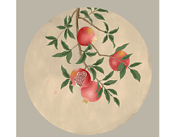 石榴插画