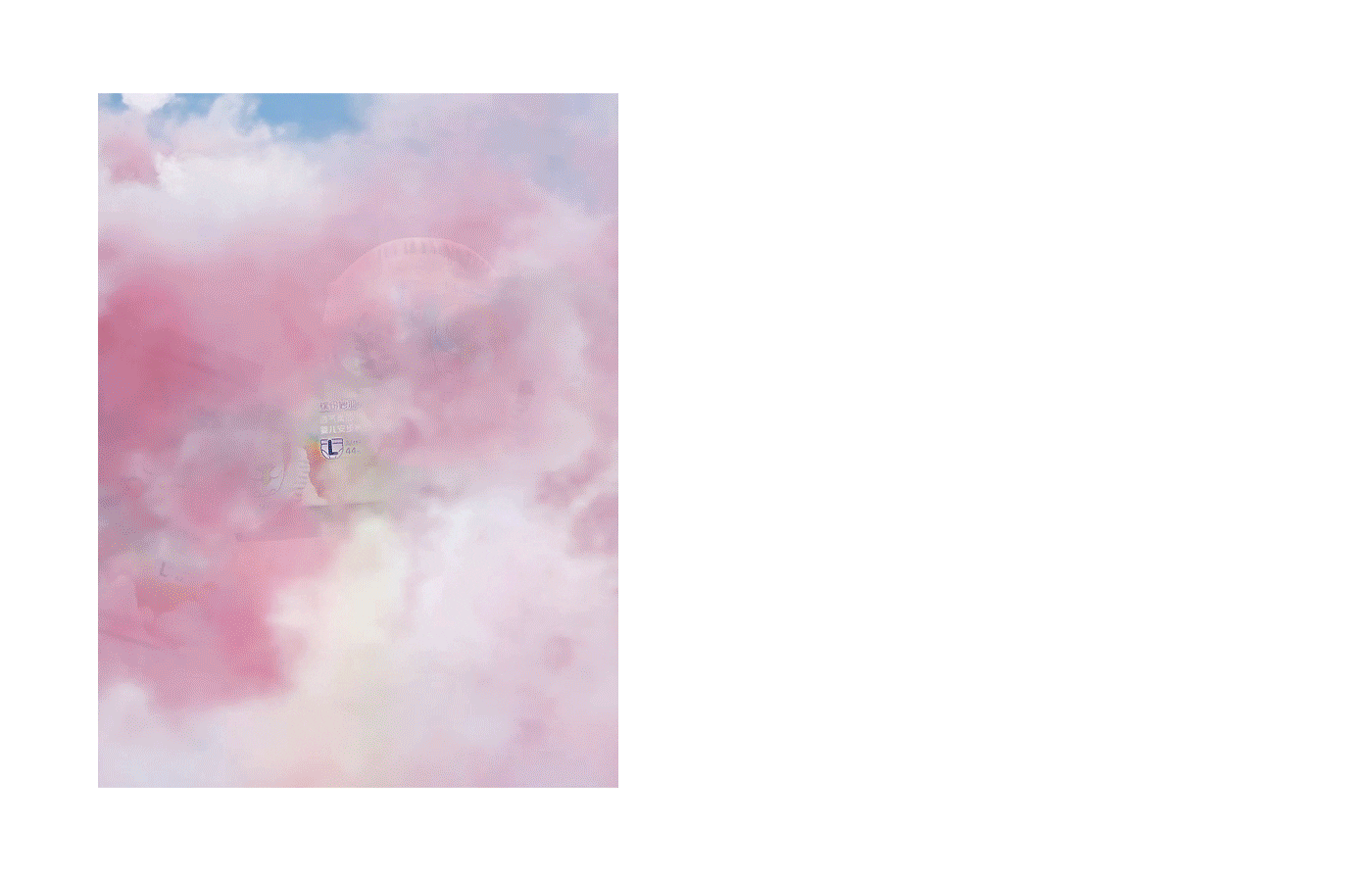 十月结晶纸尿裤2款动画设计,详情页单品全案策划