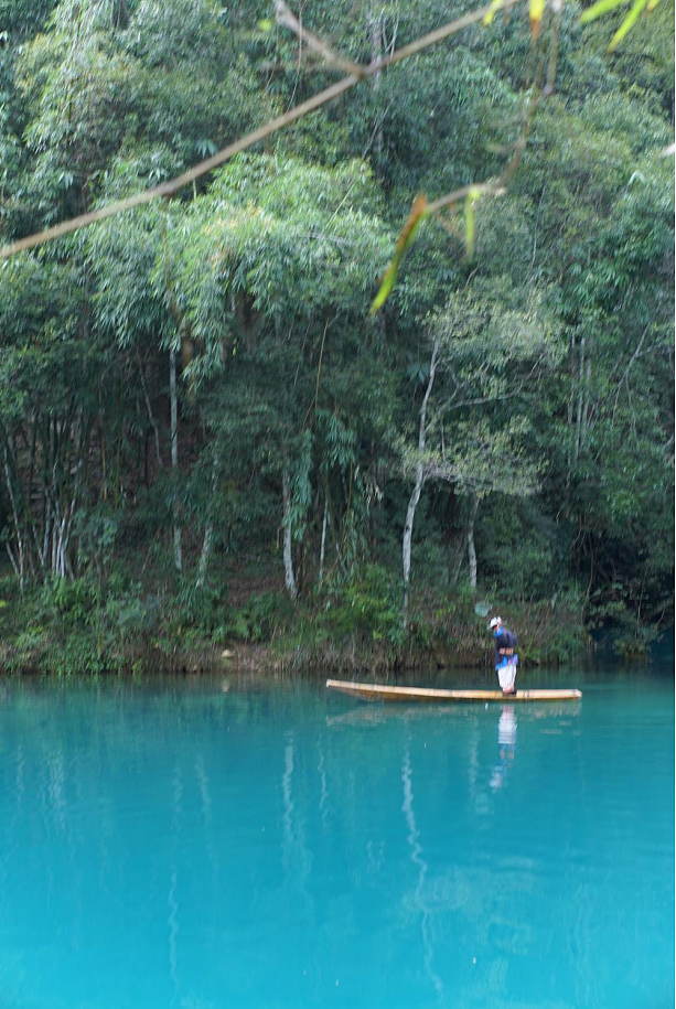 树与湖（图ZMzgwMzc5MTA0） - 风光摄影 - 站酷设计师遊記seiji原创素材 - 站酷ZCOOL