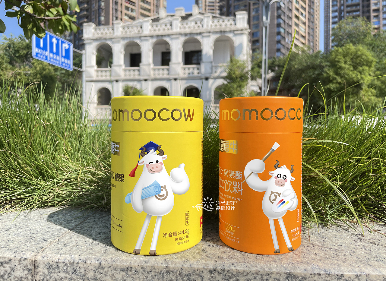 包装设计 保健品包装 保健品包装设计 LOGO vi vi设计