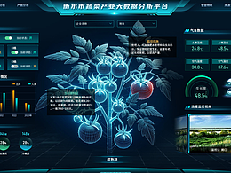 数据可视化
