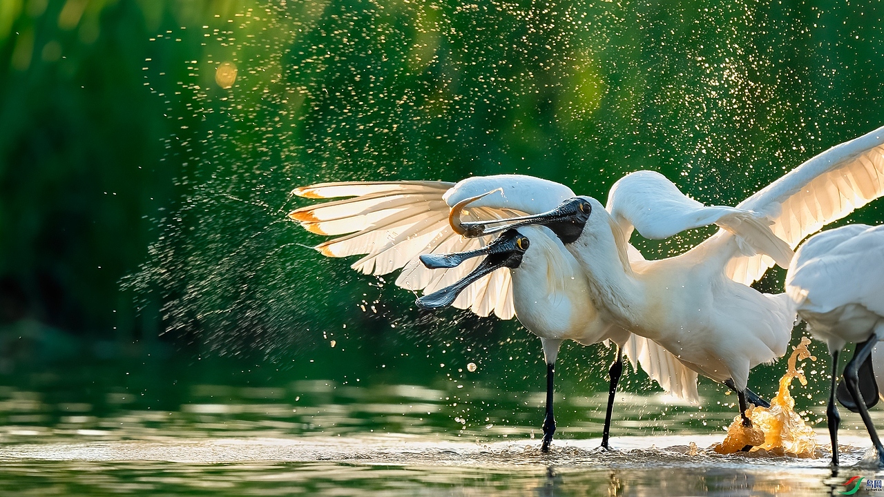 如何让你的照片过目不忘?这6个技巧赶紧get!
