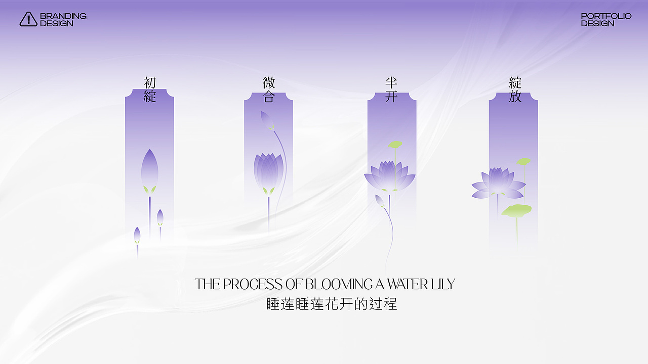 睡莲花茶（图ZMzgwNDA3MTIw） - 品牌 - 站酷设计师米九mijiu原创素材 - 站酷ZCOOL