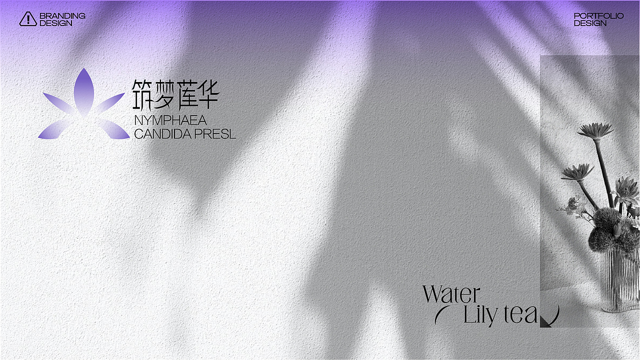 睡莲花茶（图ZMzgwNDA3MTA0） - 品牌 - 站酷设计师米九mijiu原创素材 - 站酷ZCOOL