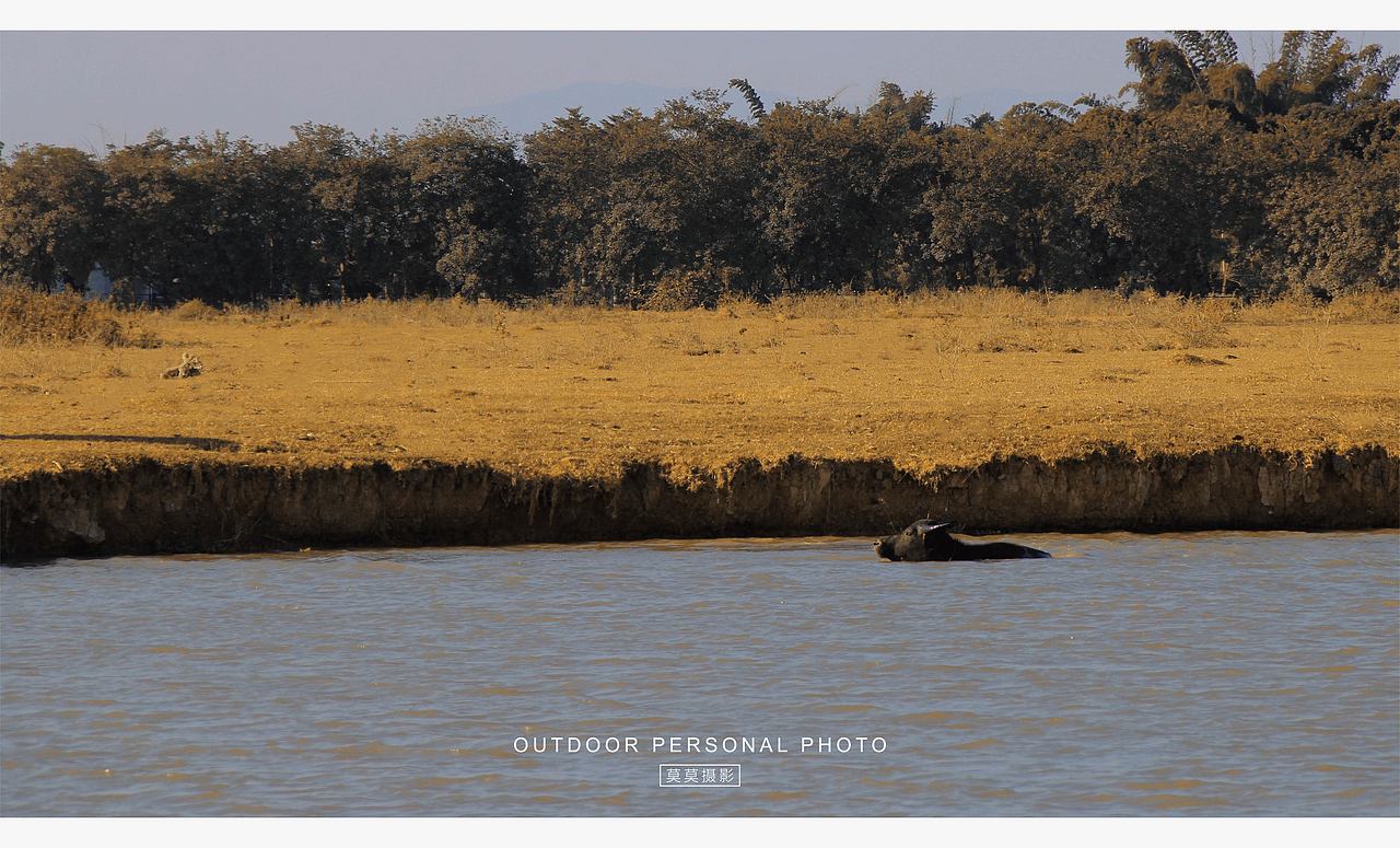 最终还是来放牛了（图ZMzgwNDExODUy） - 人文/纪实摄影 - 站酷设计师莫莫摄影原创素材 - 站酷ZCOOL