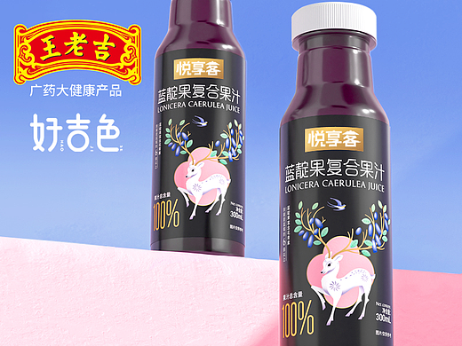 饮料包装 饮料包装设计 果汁包装设计 vi 大健康包装
