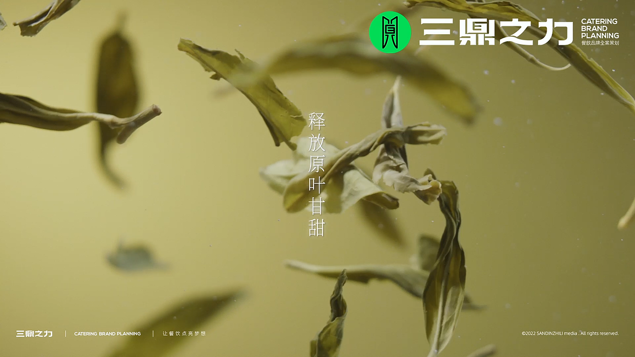 美食视频|蜀茶山X三鼎之力餐饮品牌全案策划