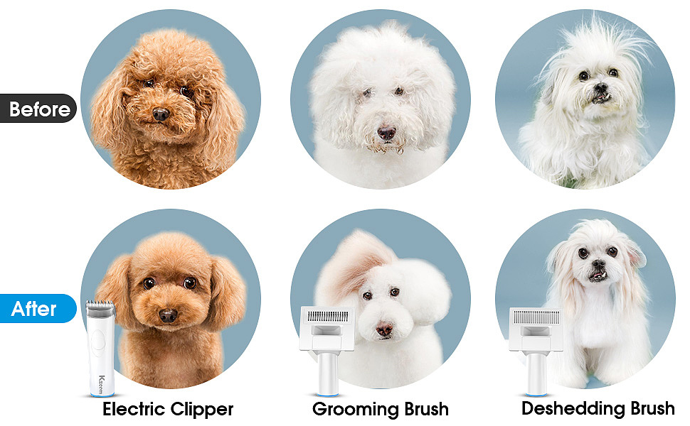 【聚豪设计】宠物清理器亚马逊主副图A+设计 渲染+实拍