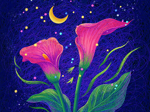 手绘线圈创意插画-马蹄莲
