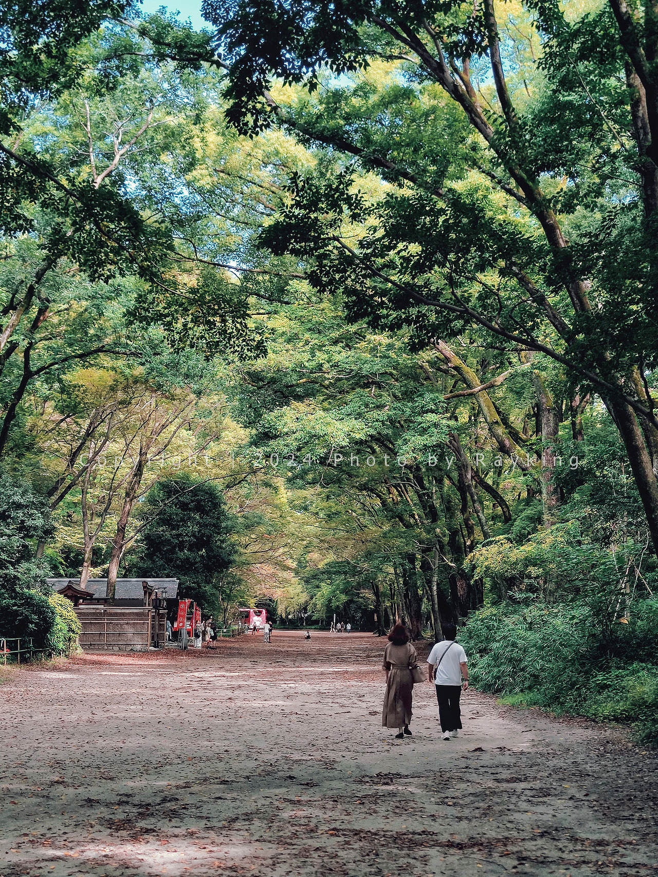 北野天满宫/下鸭神社/平安神宫|本土信仰(图ZMzgwNDgxNjY4) - 风光摄影 - 站酷设计师金钻子原创素材 - 站酷ZCOOL