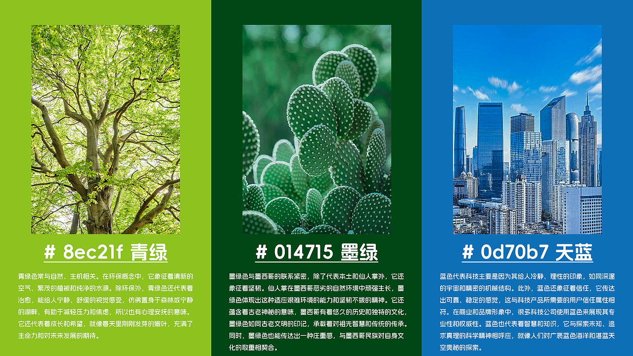 VIVI跨境电商品牌升级 | 独立设计初稿优化提案-Halvor（图ZMzgwNDk2ODY0） - 品牌 - 站酷设计师人间理想不想原创素材 - 站酷ZCOOL