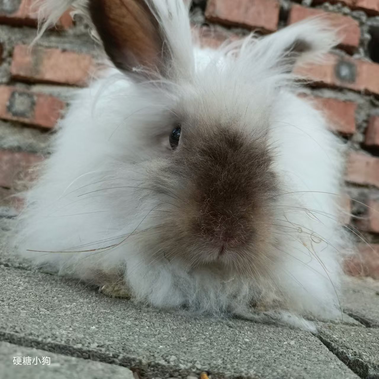 盲肠肠肠肠的个人主页（背景预览） - 主页背景设置 - 站酷设计师盲肠肠肠肠原创素材 - 站酷ZCOOL