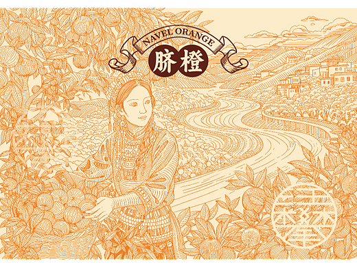 脐橙水果包装插画设计/版画风格