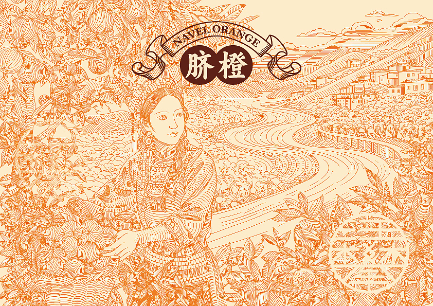 脐橙水果包装插画设计/版画风格