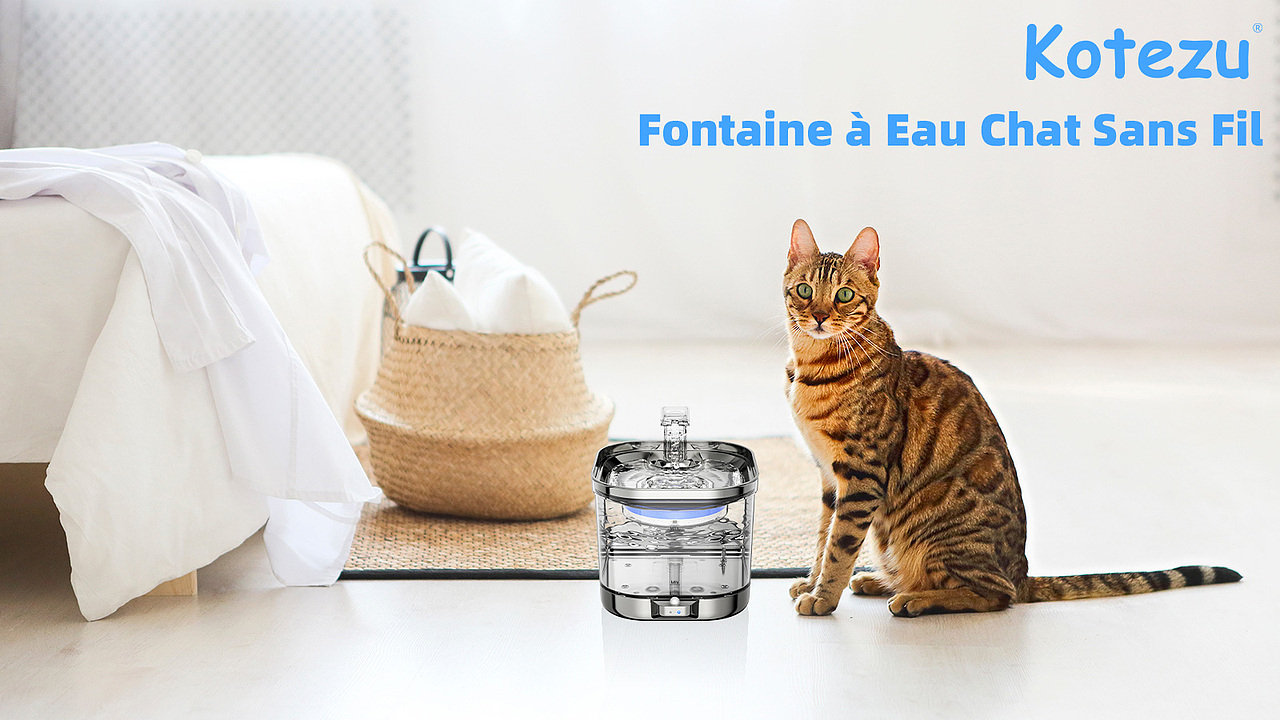 猫用饮水机-主附图设计