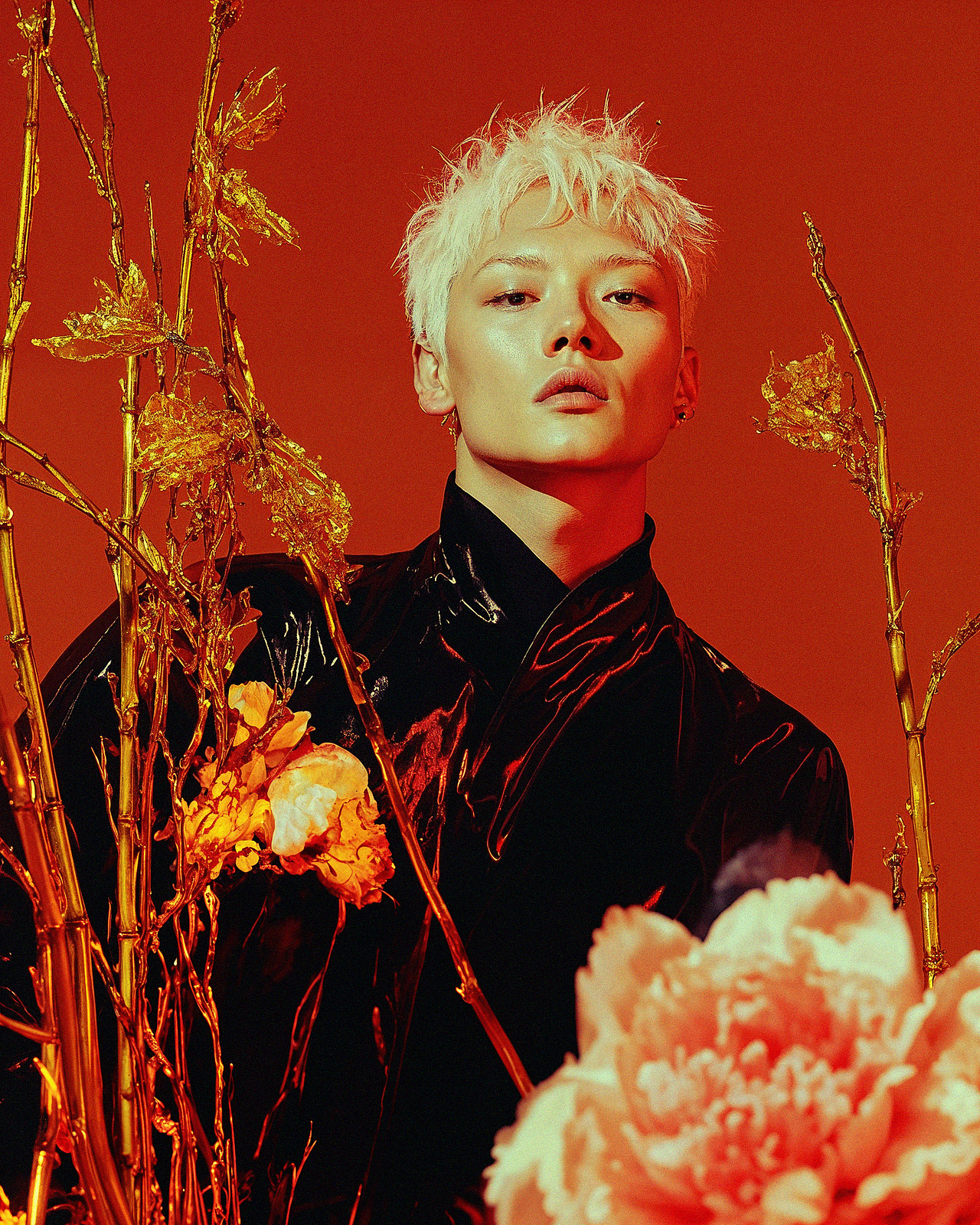 AI教你拍大片儿