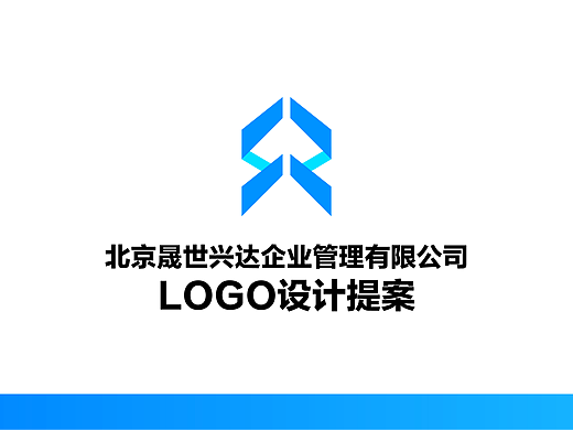 晟世兴达公司LOGO提案设计