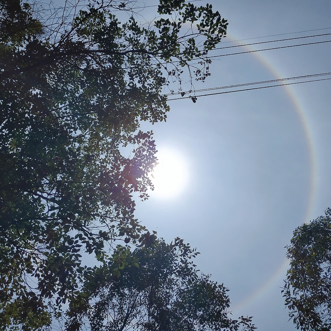 Kwok——摄影抓拍篇