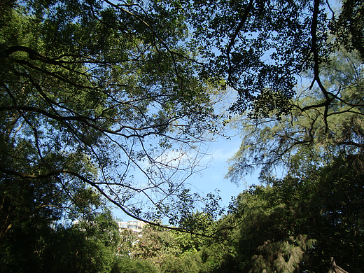 Kwok——剪辑篇之捡秋