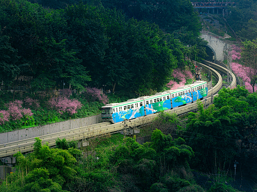 开往春天的列车