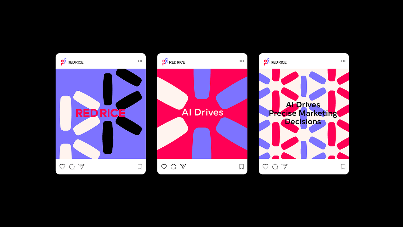 品牌设计 | RED RICE 品牌全案设计